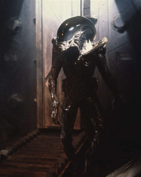 Image result for Alien 3 Alien
