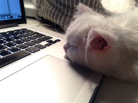 Slacker Meme 的图像结果