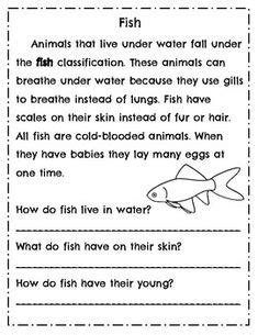 Reading Comprehension Grade 1 PDF Free | First grade reading ...