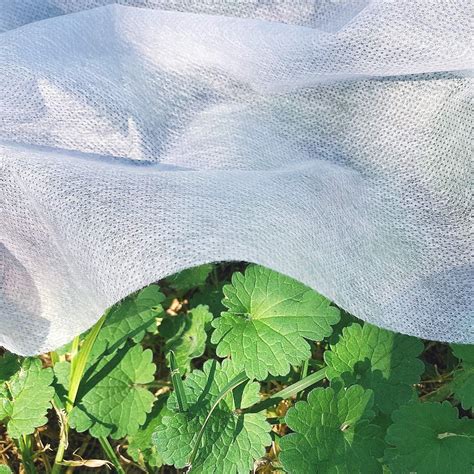 Best Material To Protect Plants From Frost at Evelyn Gentle blog
