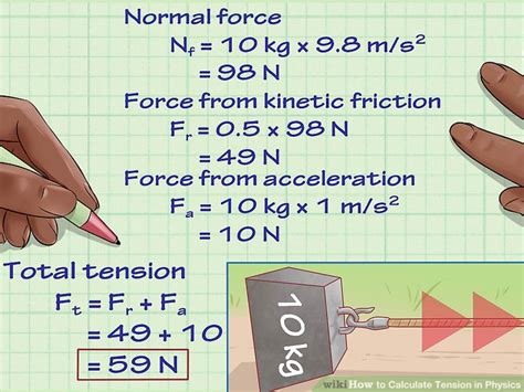 Image result for Tension Force Muscle Graph