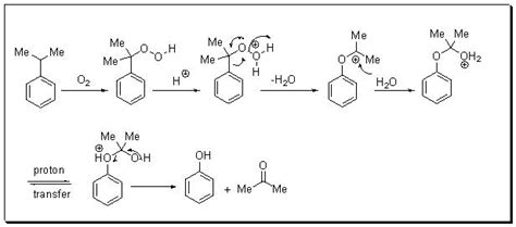 8.4.2 Dakin Reaction