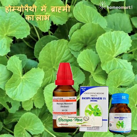होम्योपैथी बाकोपा मोन्निएरी (ब्राह्मी) – संकेत, उपयोग, खुराक ...