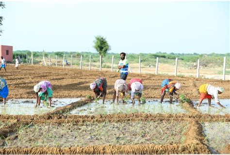 Hebbevu - India's Only Managed Farmland Company Supporting Its ...