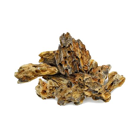 Dragon Stone Rocks Aquascaping Free Shipping all India