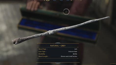 Hogwarts Legacy: Wand Customization Guide - MP1st
