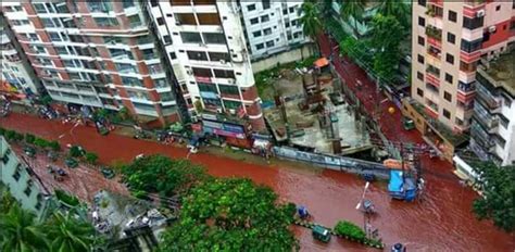 Dhaka streets turn into bloody rivers after Eid al-Adha celebrations ...