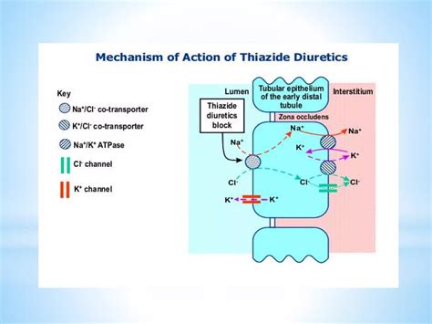 Diuretics-Mechanism of action,Diuretic Types and Adverse effects,Drug specifications | PPTX
