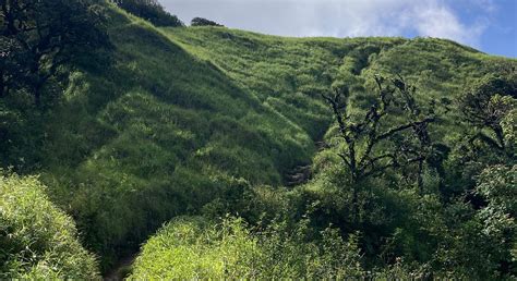 SHIRUI KASHUNG (2026) All You Need to Know BEFORE You Go (with Photos ...