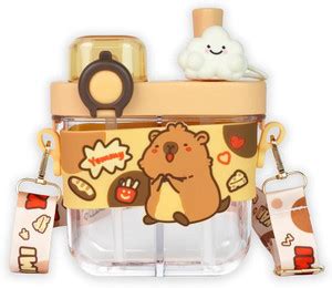 Flipkart.com | BVM Brown Capybara Kids Water Bottle Box Dual Beverage ...