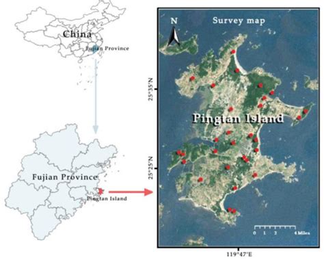 Invasive Alien Plants and Invasion Risk Assessment on Pingtan Island