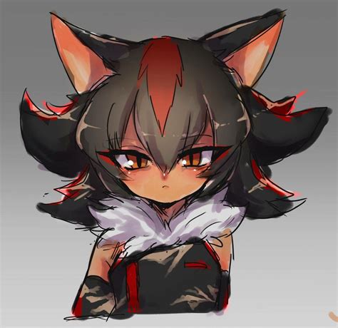 Shadow The Hedgehog Human Girl