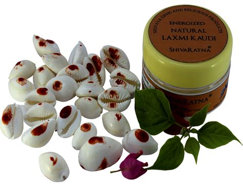ShivaRatna Energized Natural Laxmi Kaudi - 21 Pieces (for Wealth Attra