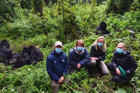 2026 7 Days Rwanda Royal Tour with Gorillas, Chimpanzees, Culture, and ...