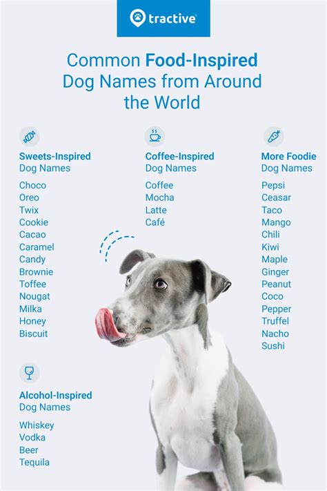 Image result for Most Common Dog Names