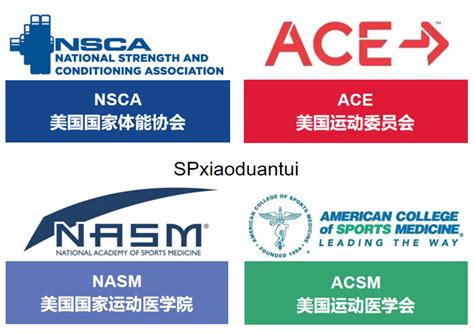 健身四大认证课程ACE CSCS教程视频 NASM PES CPT CES NSCA CPT-淘宝网