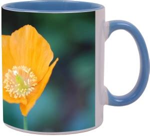Arkist orange poppy flower Blue Ceramic Coffee Mug Price in India - Buy ...