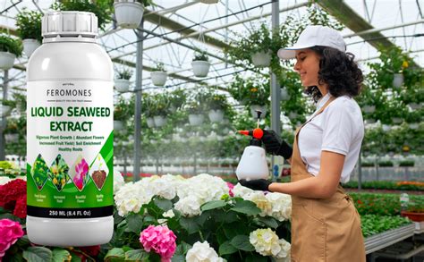 FEROMONES Organic Seaweed Liquid Fertilizer for Plants - Organic ...