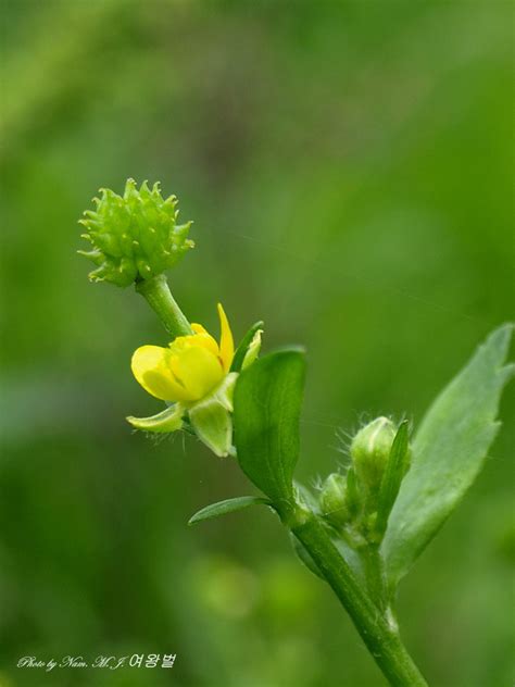 Image result for Test Spring Squareness