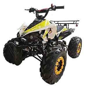 125cc ATV Quad Youth 4 Wheeler Adults ATVs Quads Middle Size 4 Wheelers ...