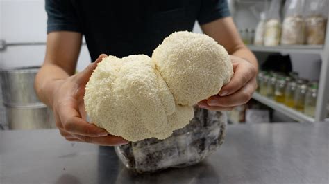 How to Make Mushroom Liquid Culture for Mushroom Growing