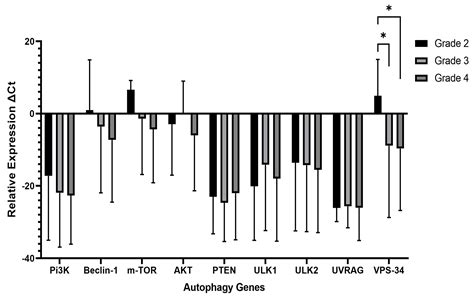 Investigating the Association between the Autophagy Markers LC3B ...