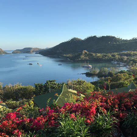 Maumere Pictures - Traveller Photos of Maumere, Flores - Tripadvisor