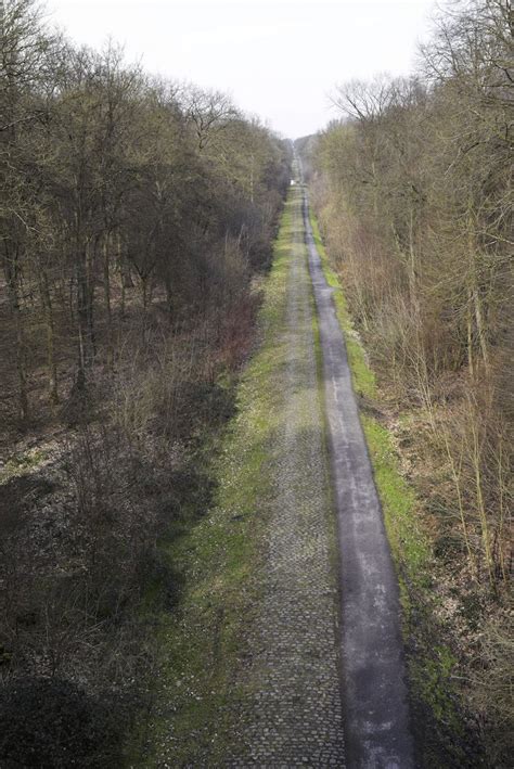 Image result for Paris-Roubaix Cobble Logo