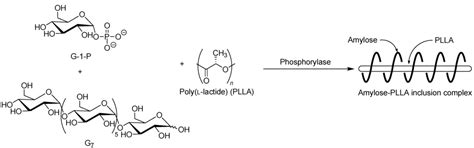 Biomolecules | September 2013 - Browse Articles