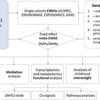 Image result for How to Prepare Flow Process Chart Work Study