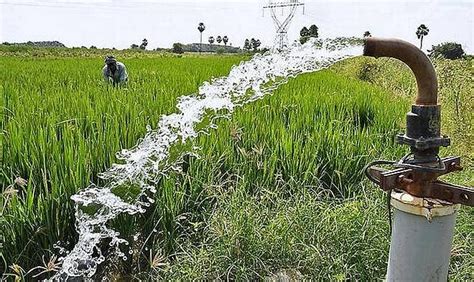 Agribazaar, Rivulis sign MoU to bolster agri-output with micro-irrigation