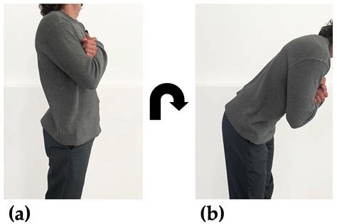 Balance Assessment Using a Handheld Smartphone with Principal Component ...