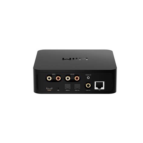 Wiim Pro Plus - Wireless Hi-Res Audio Streamer with Premium AKM DAC, M ...