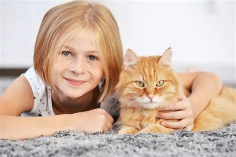 Katzenjahre in Menschenjahre umrechnen - So alt ist deine Katze wirklich