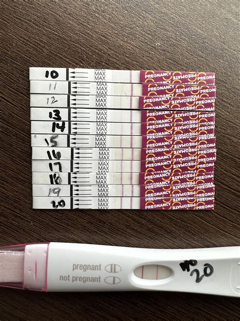 Pregnancy Test Progression TTC, First Cycle Trying, OPK And Pregnancy