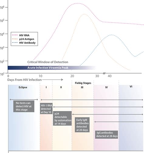 Human anti-HIV IgM detection by the OraQuick ADVANCE® Rapid HIV 1/2 ...