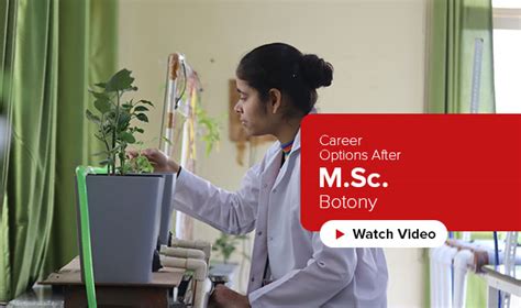 Best M.Sc. Botany College in Punjab, North India - Chandigarh University