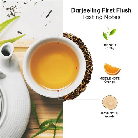 Darjeeling First Flush Tea 2024