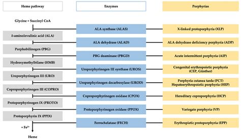 Laboratory Diagnosis of Porphyria