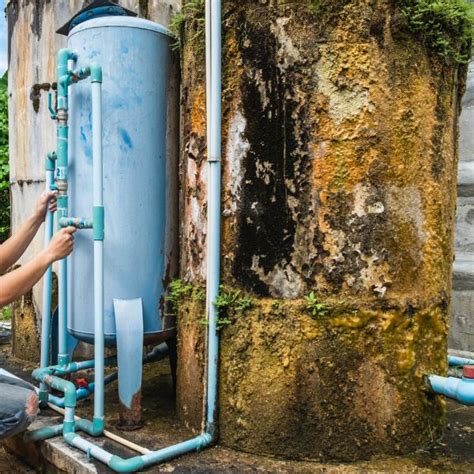 Image result for Softshell Turtle Tank