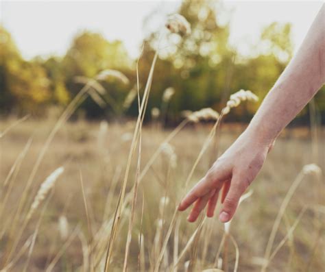 Tech-Free 的图像结果