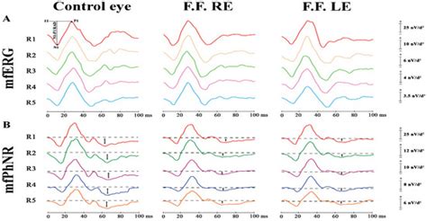 Diagnostics | Special Issue : Structure-Function Relationship in ...
