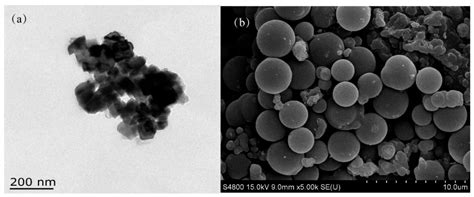 A Type of Ferrocene-Based Derivative FE-1 COF Material for Glycopeptide ...