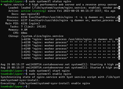 Image result for Setup Nginx