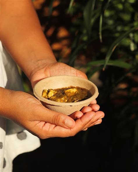 ECONUS Export Quality Bowls (Pack of 10) 5-inch Disposable Areca Leaf ...