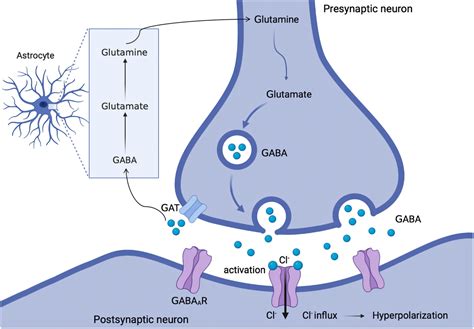 GABAA receptors as targets for anaesthetics and analgesics and promising candidates to help ...