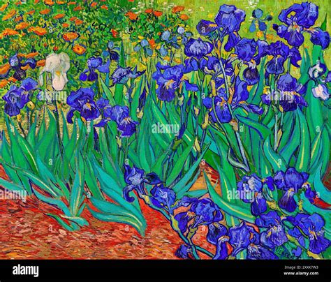 Vincent Van Gogh's Irises (1889). Famous painting, original from the J ...