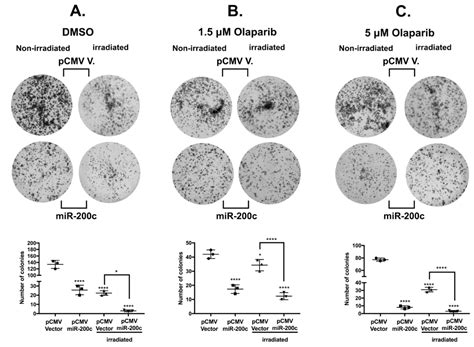 MiR-200c-3p Contrasts PD-L1 Induction by Combinatorial Therapies and ...