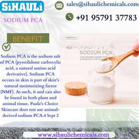 Sodium Pca | Sihauli Chemicals