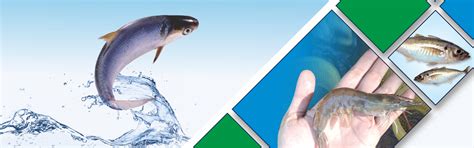 Aqua Product Catalogue | Provimi